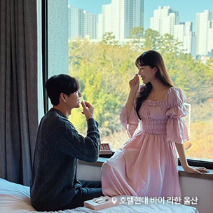 채니꾸 패키지
